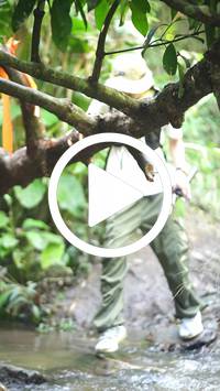 BIB:  <button type="button" onclick="openModal(27824238)" class="btn btn-primary btn-sm float-right" data-toggle="modal" data-target=".modal-high-quality">
                <i class="fa fa-download"></i> Download
                </button>